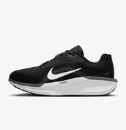 Nike Winflo 11 (FJ9509-001)