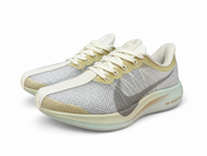 Nike Air Zoom Pegasus 35 Turbo (WHT/GRY)