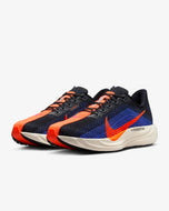 Nike Pegasus Plus (FQ7262-008)