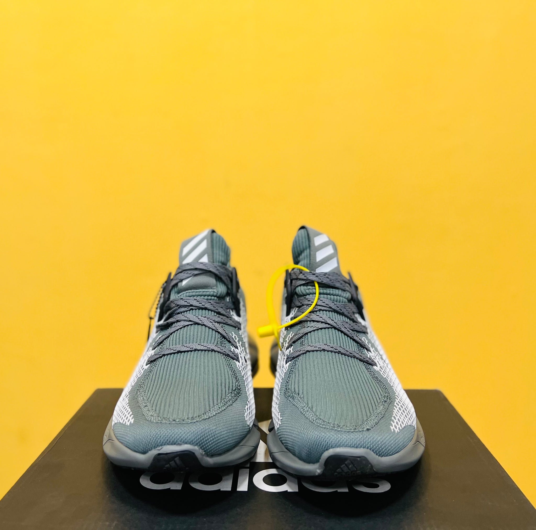 Adidas Alphabounce Edge XT – Affinity