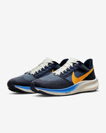 Nike Air Zoom Pegasus 39 (DO9580 400)